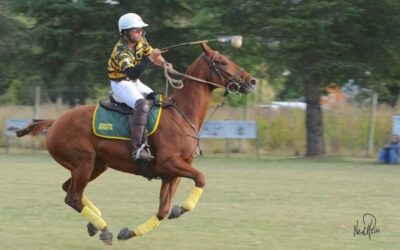 Euro Steel Announces Sponsorship of South African Polocrosse Team